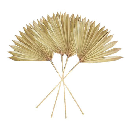 Sun Spear Palm Dried 45cm 4 Pc Khaki#