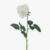 Fresh Touch Rose Yvie White 